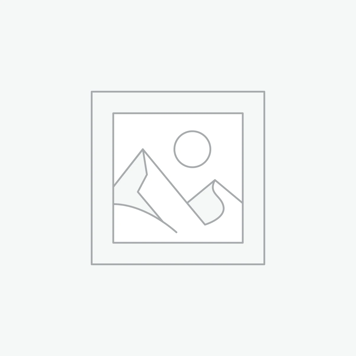 Morgan Silver Dollar